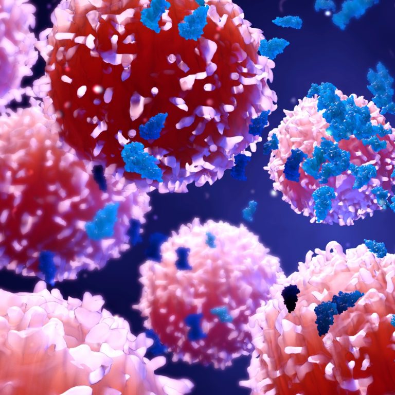 linfocitos CAR-T