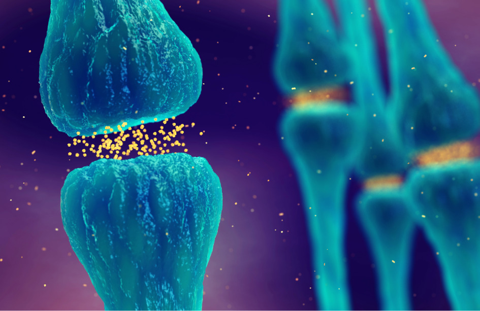 un análisis de proteómica identifica perfiles proteicos comunes entre diferentes enfermedades neurodegenerativas
