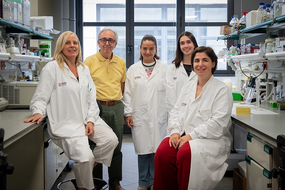 Investigadores del IRB que han participado en el descubrimiento del papel de la neuritina 1 en el tejido adiposo marrón.