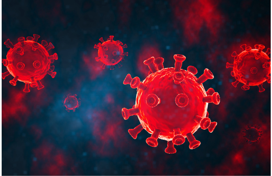 Una vacuna intranasal experimental elimina el virus del COVID-19 en ratones. 