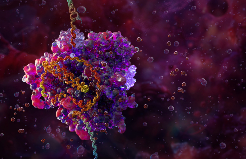 Múltiples y diversos ensayos evalúan la seguridad y eficacia de las herramientas CRISPR para el tratamiento de enfermedades. Imagen: Adobe Express.