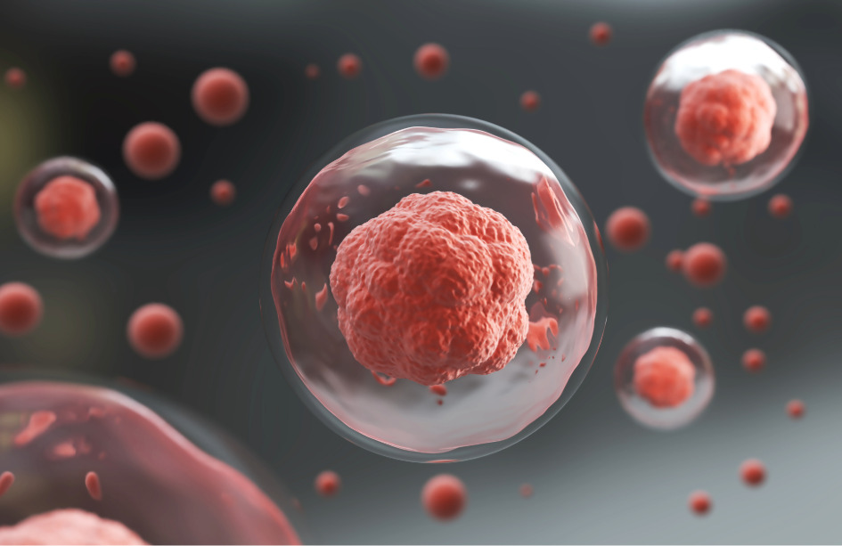 Gran parte de las terapias basadas en CRISPR para terapias oncológicas están basadas en linfocitos modificados, pero también existen terapias dirigidas a modificar otras células. Imagen: Adobe Express.