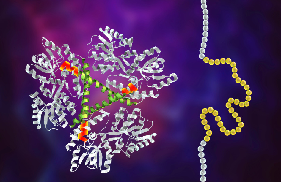 La causa de la enfermedad de Huntington es una mutación de expansión de un fragmento de ADN que produce una proteína mutante.