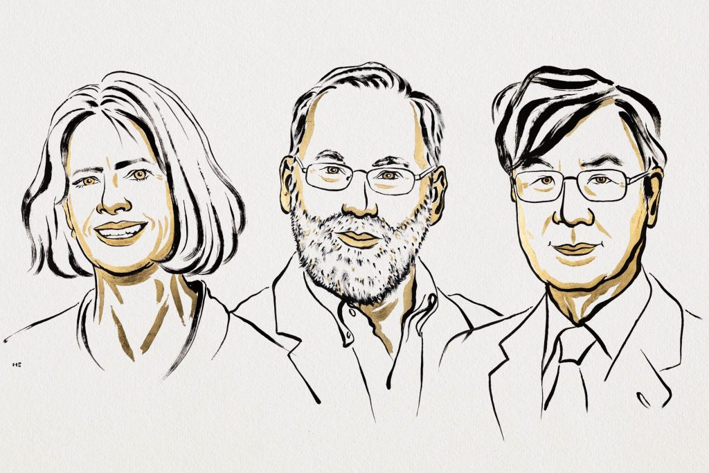 Mary E. Brunkow, Fred Ramsdell y Shimon Sakaguchi serán galardonados con el Premio Nobel de Fisiología o Medicina por descubrir cómo las células T reguladoras evitan que el sistema inmunitario ataque al propio organismo.