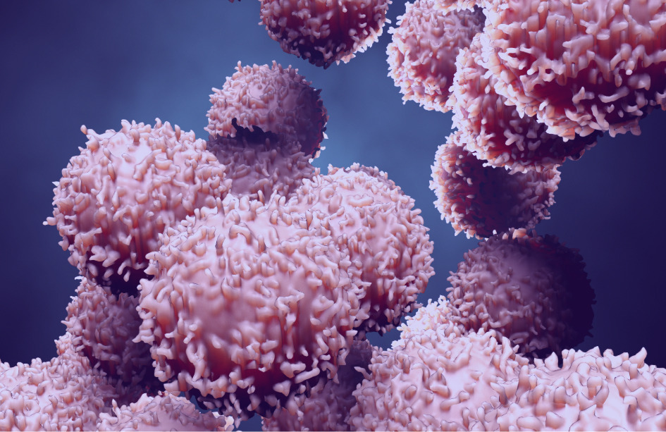 Es posible restablecer la producción de insulina mediante el trasplante de células pancreáticas genéticamente modificadas. Un tratamiento de células modificadas con CRISPR muestra resultados prometedores para la diabetes.