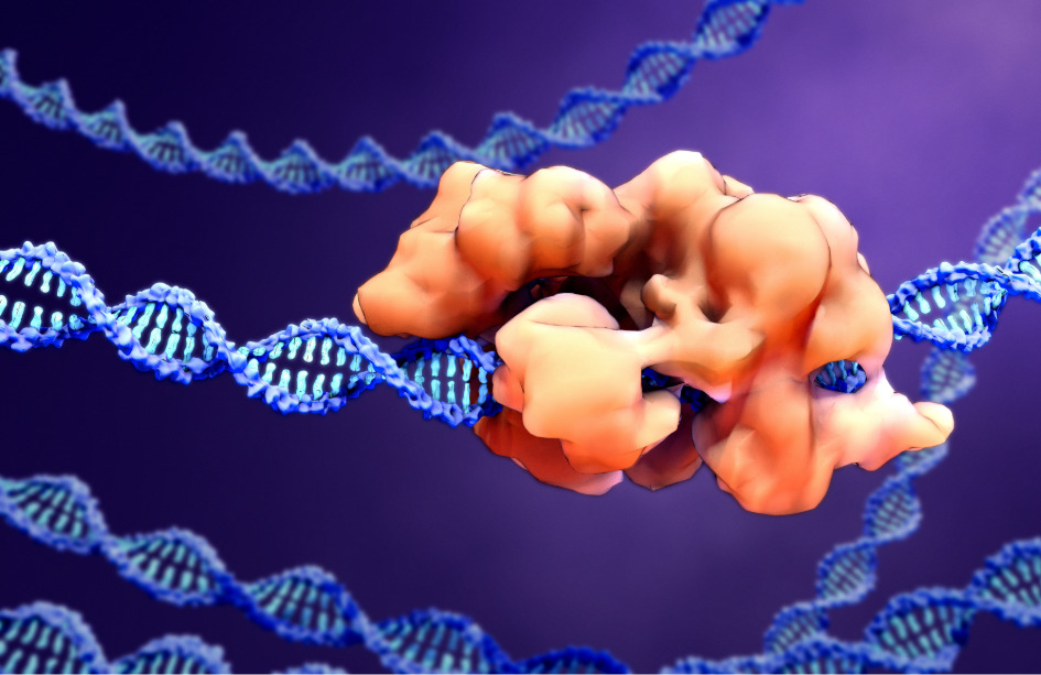 Existen múltiples terapias basadas en CRISPR en desarrollo para diferentes enfermedades