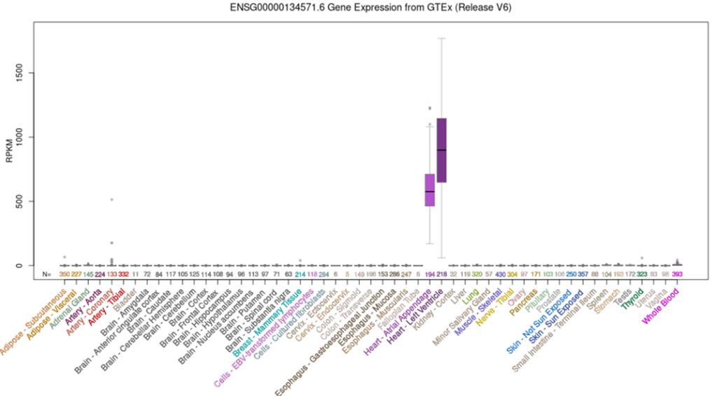 Fenotipado reverso en cardiopatías congénitas