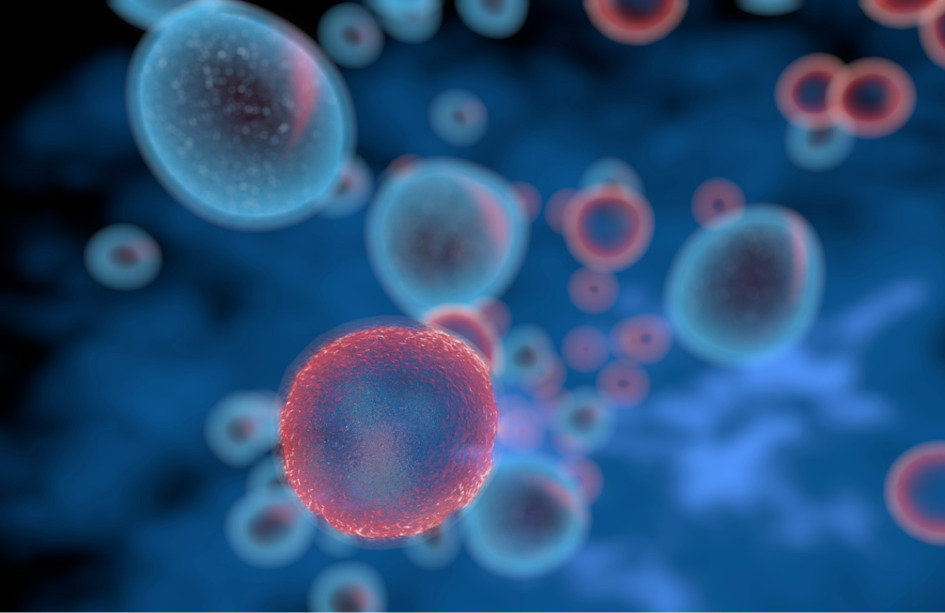 La terapia génica para la inmunodeficiencia combinada en niños tiene éxito a largo plazo