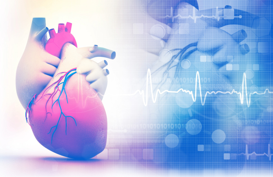 Una terapia génica dirigida al corazón ofrece resultados preliminares prometedores para la insuficiencia cardiaca