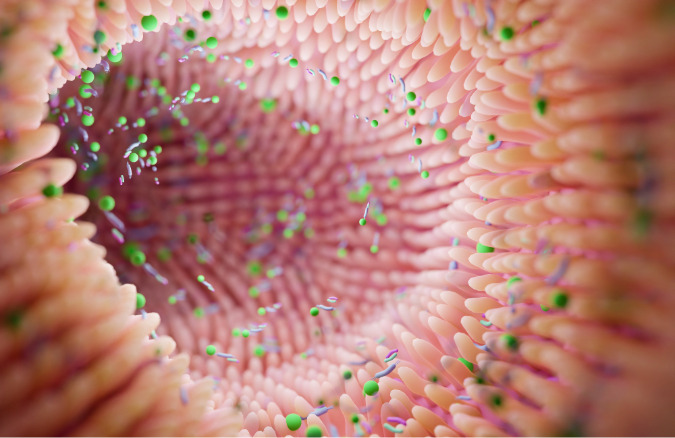 El estudio muestra que la genética de "compañeros de piso" podría influir en el microbioma intestinal.