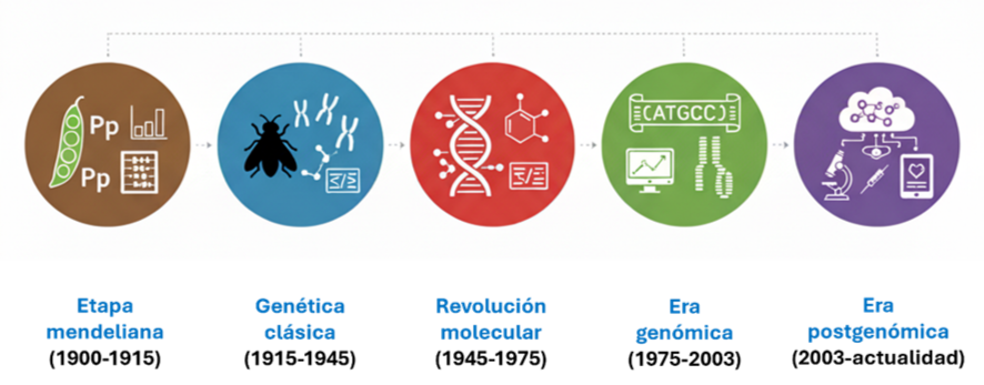 Figura 1. Etapas históricas en el desarrollo de la Genética como ciencia.