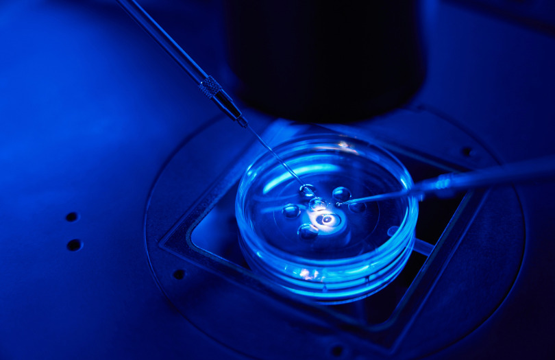 El Máster de Medicina y Genética Reproductiva ha sido uno de los grandes hitos de 2025 para Genotipia.