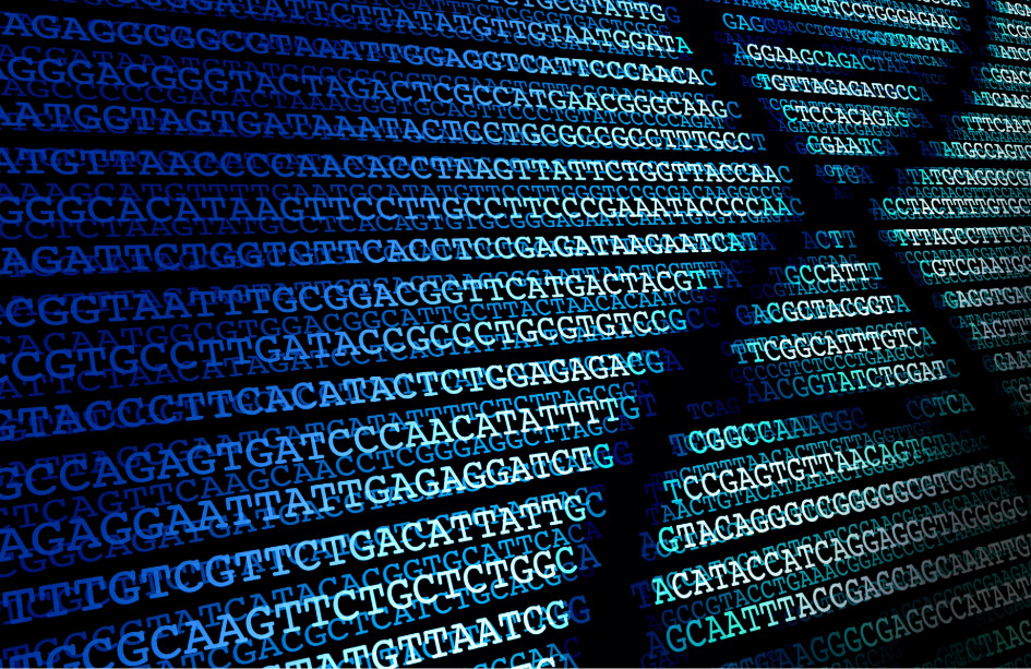 Los mapas genéticos humanos están sesgados hacia algunas poblaciones.
