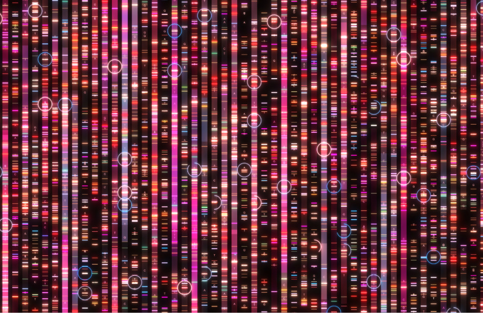 El estudio ha identificado una nueva fuente de mutaciones en el genoma