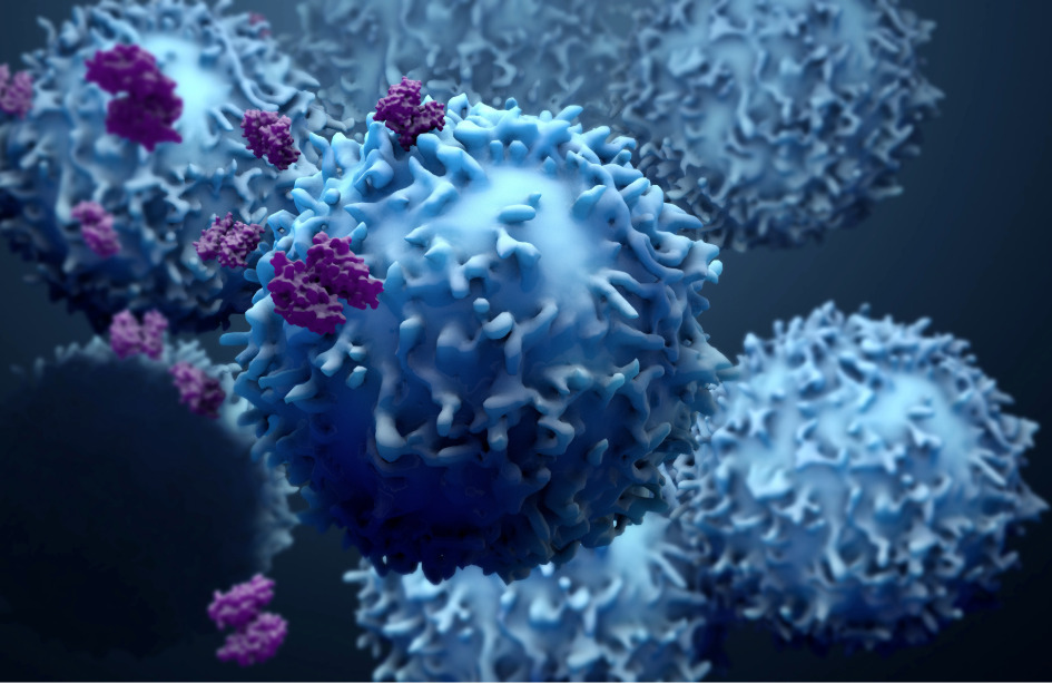 un nuevo tipo de anticuerpos despiertan la inmunidad antitumoral del paciente