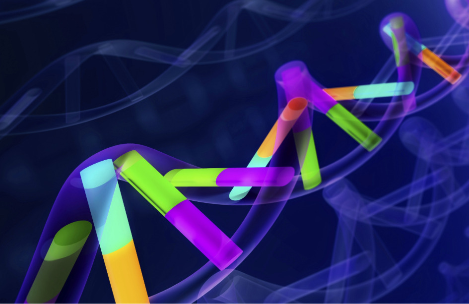 AlphaGenome amplía la capacidad de analizar el genoma humano.