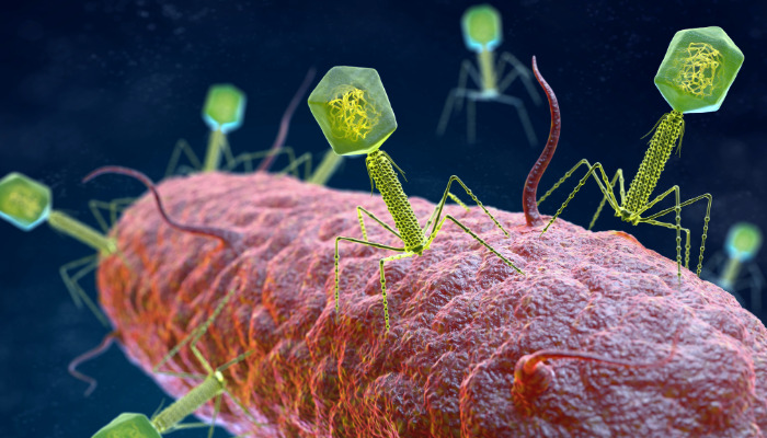 La Fagoteca One Health mejorará la lucha contra las resistencias antimicrobianas.