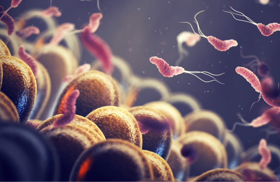 La genómica permite predecir la resistencia a antibióticos de Helicobacter pylori,una bacteria estomacal que puede causar gastritis y aumenta el riesgo de cáncer