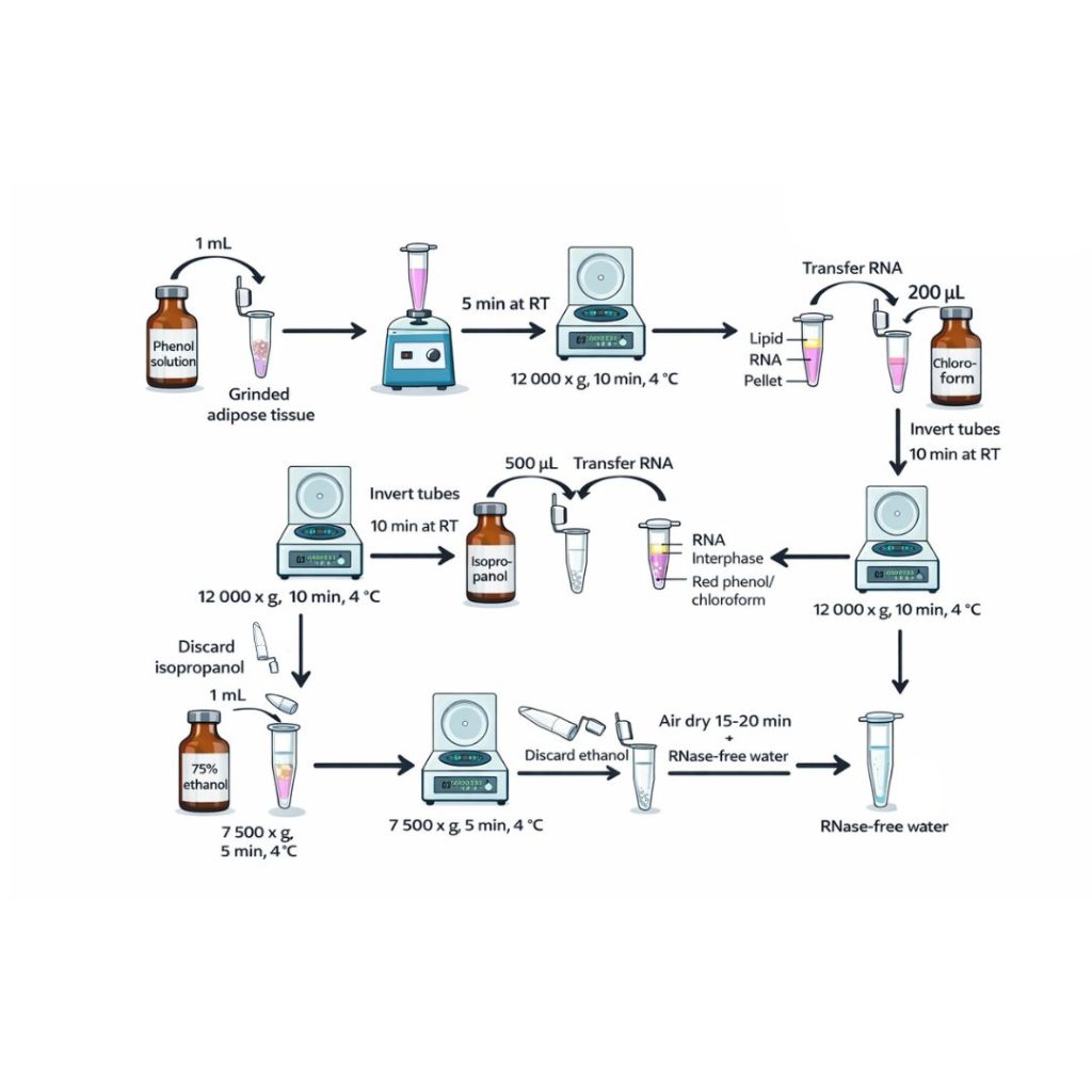 extracción de ARN mediante extracción orgánica