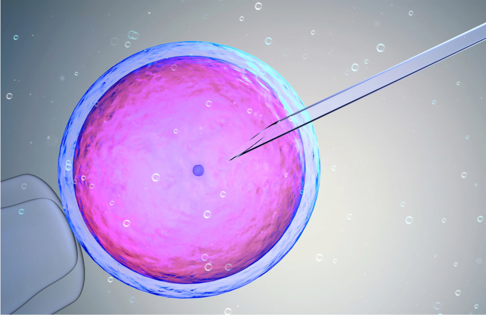 El análisis del exoma de mujeres con problemas de fertilidad ha revelado nuevas causas genéticas de infertilidad