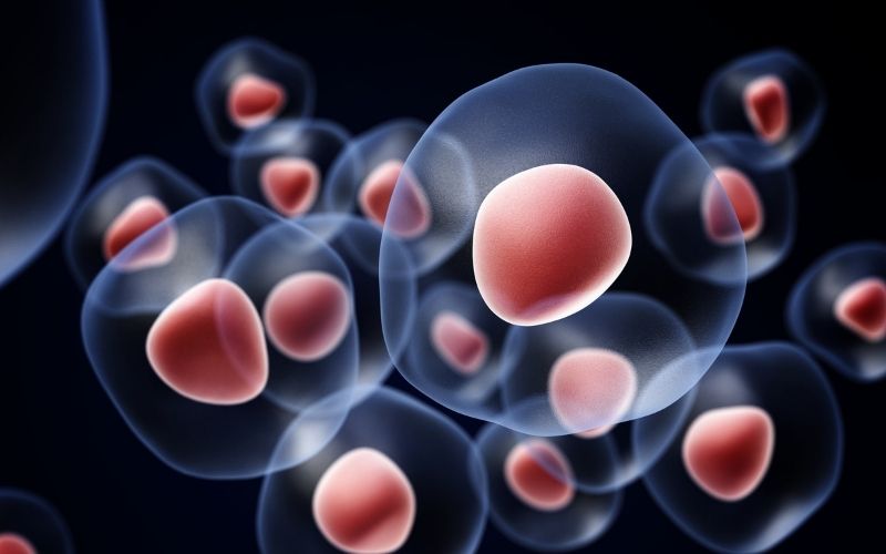 Un estudio ha identificado una diana para el tumor fibroso solitario.