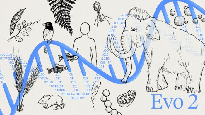 Evo 2 aprende del lenguaje que comparten los genomas de todos los organismos vivos