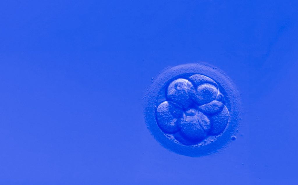 La master class de medicina reproductiva abordará un caso clínico de genética