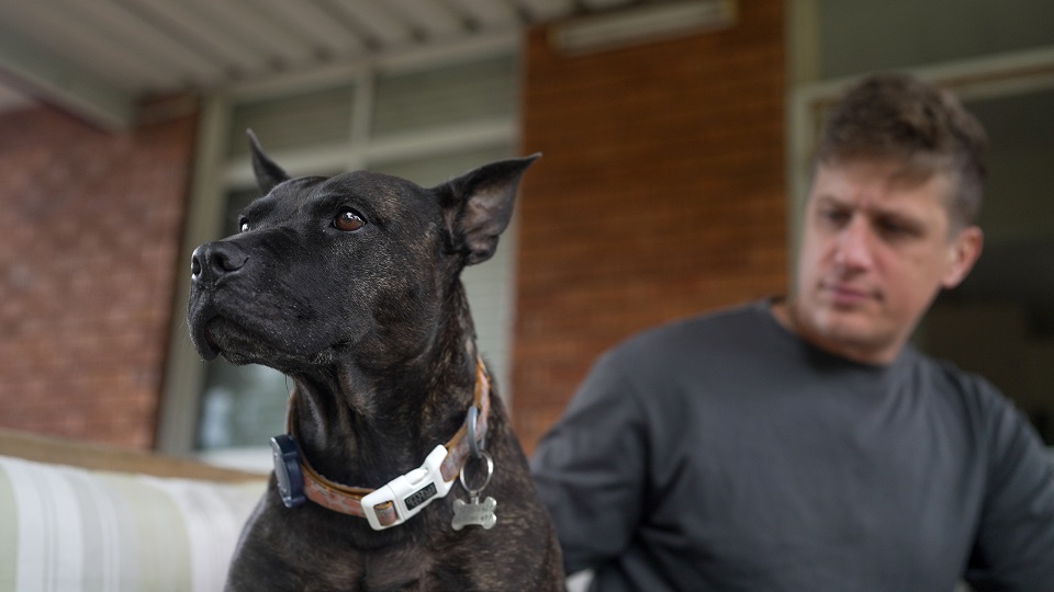 Tras la vacuna personalizada de ARN, Rosie ha experimentado mejoría.
