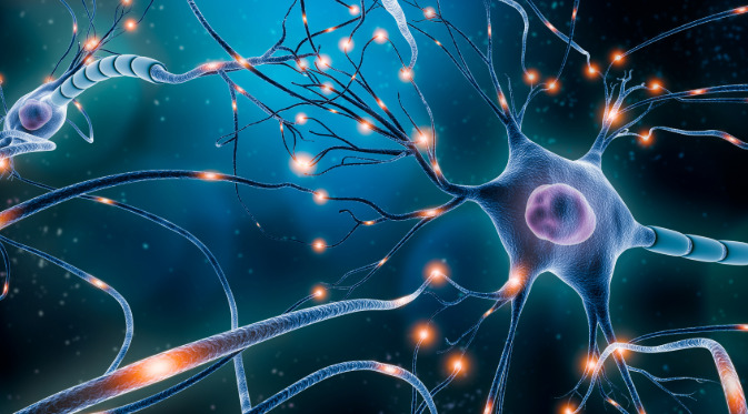 Una terapia para las causas genéticas del síndrome de Dravet podría aliviar los síntomas de la enfermedad.