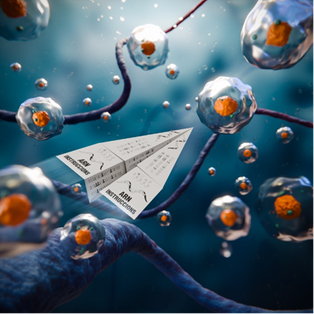 Casi todos los cánceres secuestran el splicing celular, alterando la forma en que los mensajes de ARN mensajero se cortan y se pegan. 