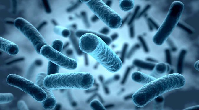 Cuando las mitocondrias no funcionan bien se debilita la barrera intestinal. Un estudio en ratones revela que  restaurar el butirato, molécula producida por la microbiota, podría aportar beneficios en estas enfermedades. 