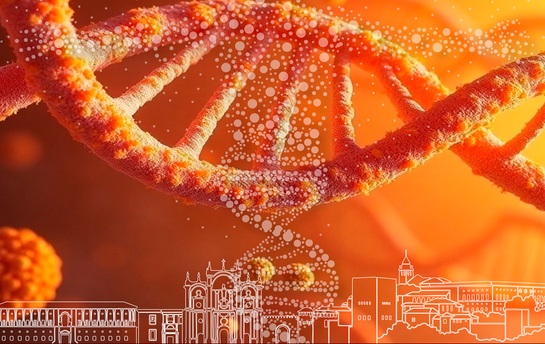 El V Congreso Interdisciplinar en Genética Humana aborda temas como la farmacogenética o IA en genómica y supone una oportunidad para consolidar la medicina de precisión.
