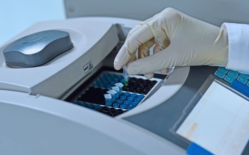 Diferentes técnicas moleculares permiten estimar la longitud de los telómeros.