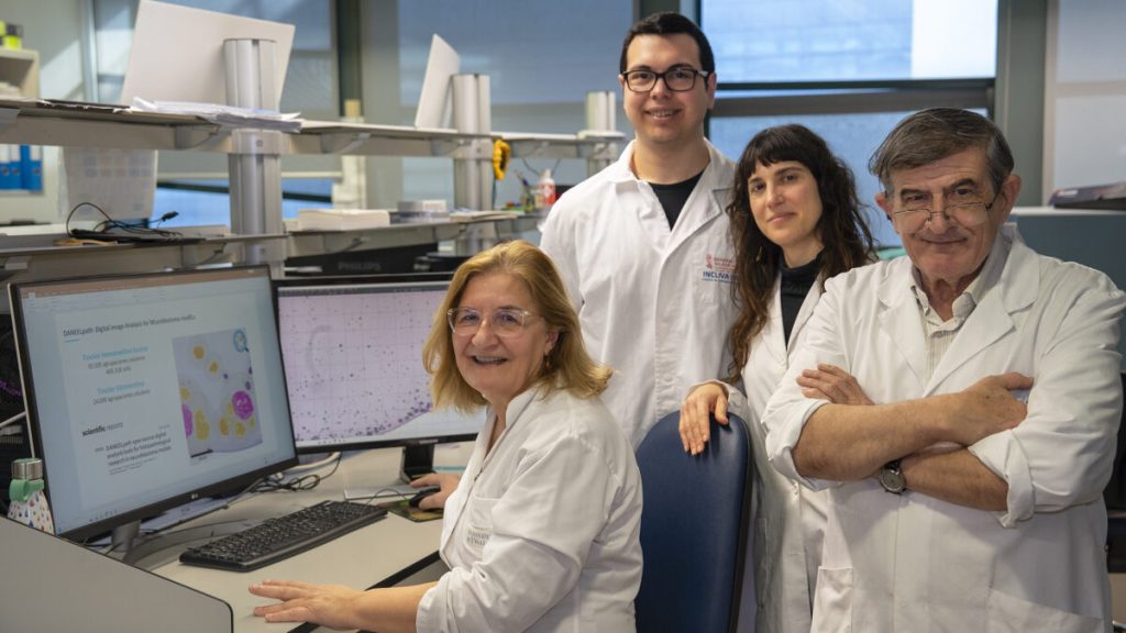 De izquierda a derecha: Rosa Noguera, Isaac Vieco, Sofía Granados y Samuel Navarro, investigadores que han participado en el desarrollo de DANEELpath, herramienta basada en IA para estudiar modelos 3D del tumores infantiles como el neuroblastoma. 