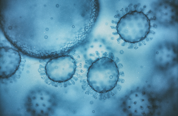 La exposición al VIH en el útero deja huella inmunológica en los niños incluso si no están infectados.