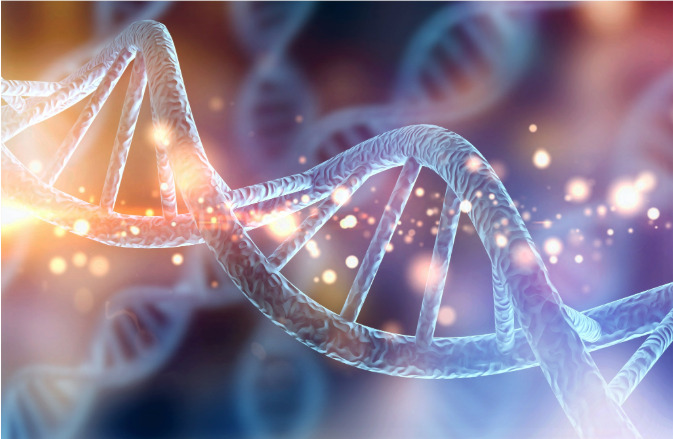 Revelan cómo diferentes mutaciones en el gen MYH9 dan lugar a diferente gravedad de enfermedades. 