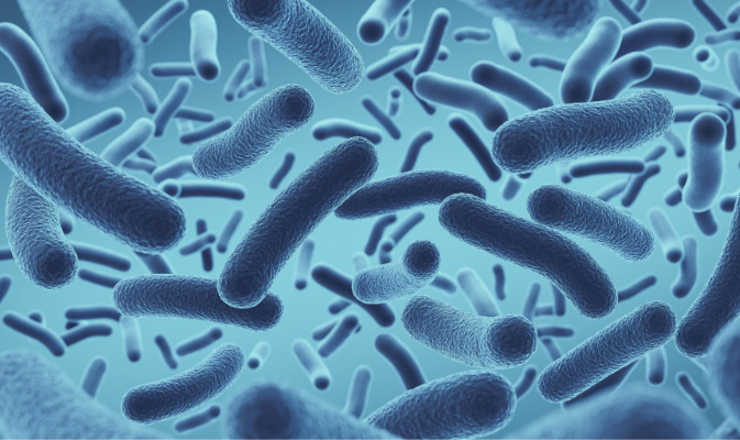 Diferentes poblaciones humanas comparten una base de genes de resistencia a antibióticos en sus microbiomas.