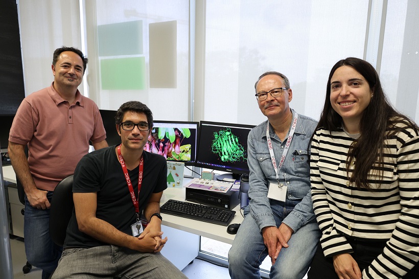 Investigadores descubren una celiacasa que abre nuevas terapias para las personas con celiaquía