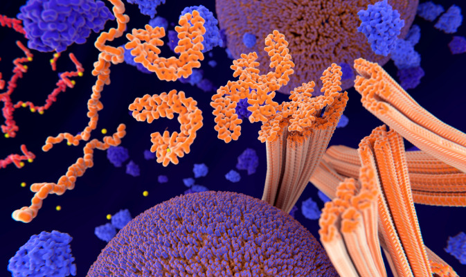 La acumulación de agregados de proteína tau que caracteriza a la enfermedad de Alzheimer puede utilizarse como uno de los biomarcadores de la enfermedad.