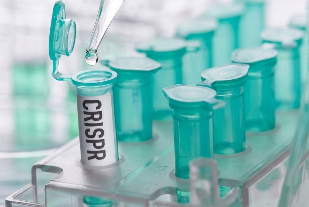 Nueva herramienta CRISPR muestra potencial para eliminar células del cáncer, dejando intactas a las células normales. Imagen: Canva.