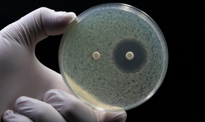 Las herramientas basadas en IA pueden ayudar en la lucha frente a las bacterias resistentes a antibióticos.