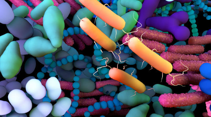 Entre los microorganismos que pueden causar infecciones respiratorias en las personas con fibrosis quística se encuentran bacterias, hongos y virus. Imagen: Adobe Express.