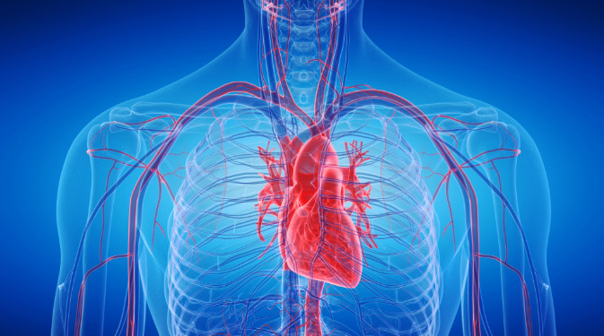 La hipertrabeculación ventricular izquierda no es una enfermedad