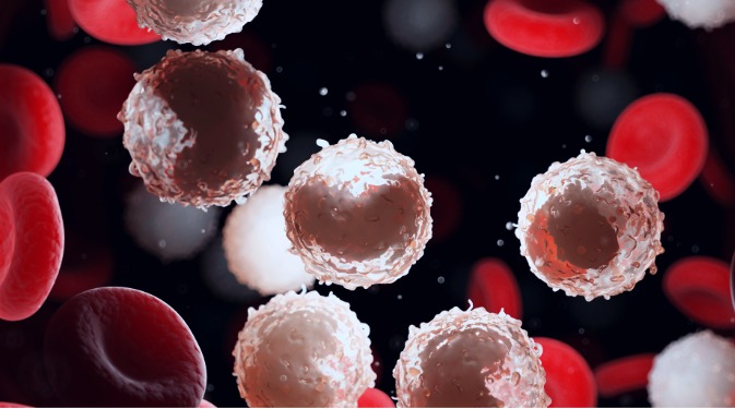 Trasladar el análisis de los 6 genes a una prueba podría permitir la clasificación de pacientes con leucemia en grupos con perspectivas de supervivencia muy distintas.
