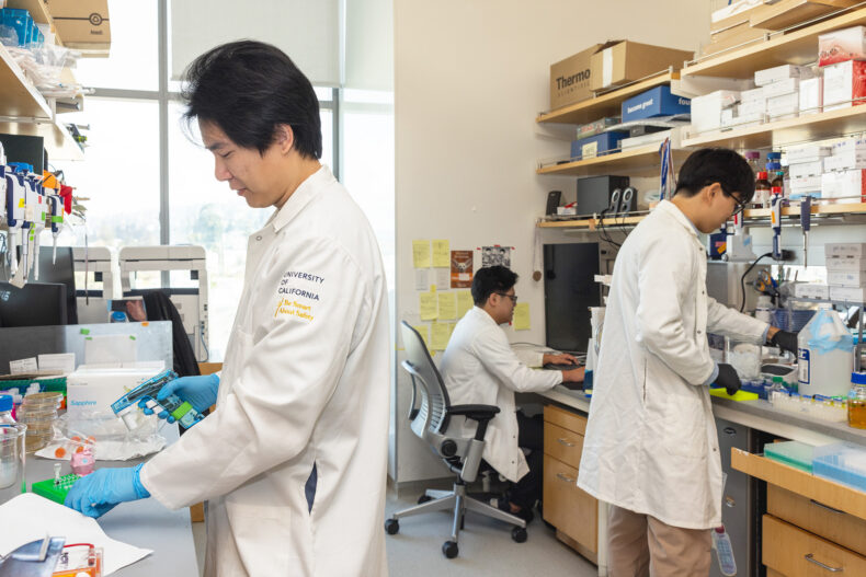 Terry Zhang, Kenneth Loi, yPeter Yoon (de izquierda a derecha) en el laboratorio Doudna del Innovative Genomics Institute donde se ha descubierto el sistema VIPR. Fotografía cortesía del IGI, realizada por Glenn Ramit.