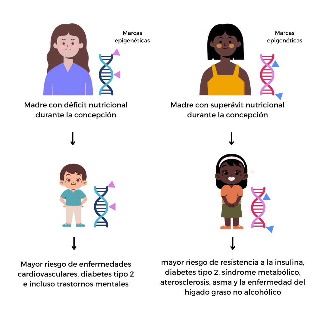 nutrición epigenética epigenoma