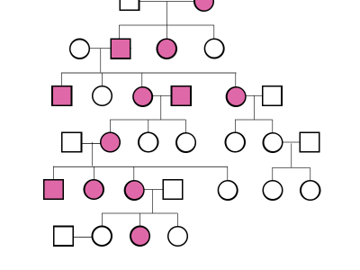 El árbol genealógico es una herramienta esencial para el diagnóstico y asesoramiento genético