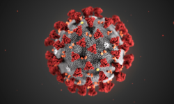 Estructura del coronavirus de Wuhan. Imagen: CDC/ Alissa Eckert, MS; Dan Higgins, MAM.