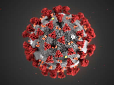 Estructura del coronavirus de Wuhan. Imagen: CDC/ Alissa Eckert, MS; Dan Higgins, MAM.