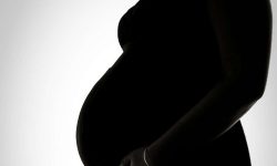 Los resultados indican que independientemente del origen del óvulo, los genes de la madre gestante también intervienen en el desarrollo del embrión. Imagen: Por Sean McGrath from Saint John, NB, Canada (Maternity Curves) [CC-BY-2.0 (http://creativecommons.org/licenses/by/2.0)], via Wikimedia Commons